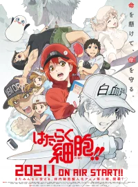 Работа клеток бесплатно