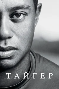 Тайгер бесплатно