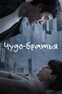Чудесные братья бесплатно
